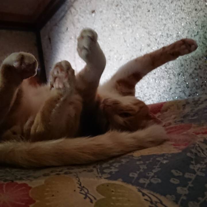 87314b4c d06b 4f78 a9b5 064086bb3f9c 1595121298388