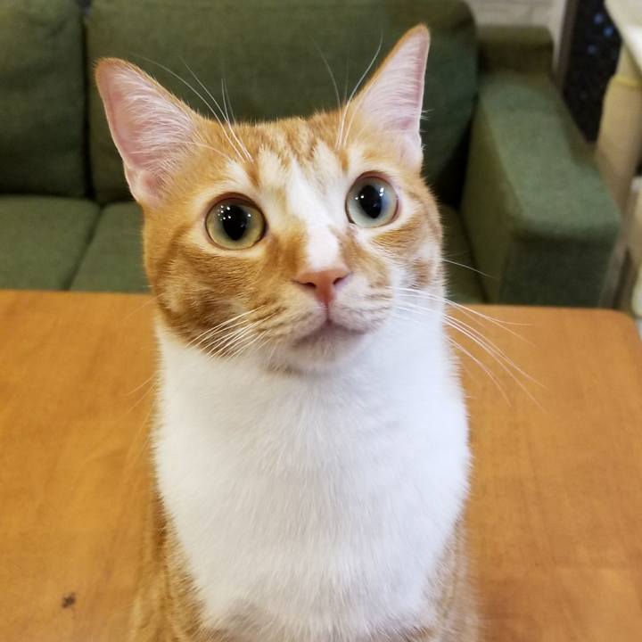 8731683f 550f 4f6e bb59 07d7f61e2963 1511484357354