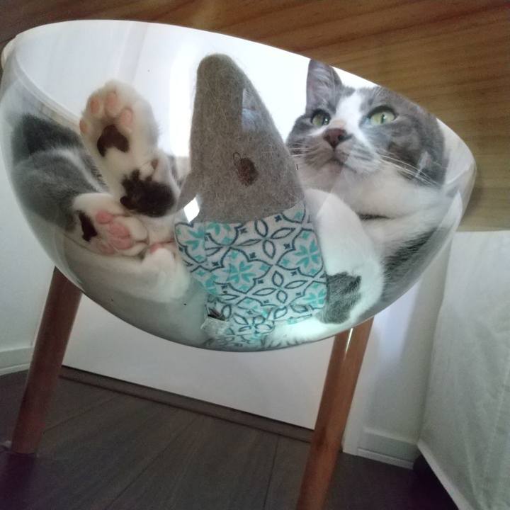 87318a28 42a6 458b 8036 7c2589ab43ec 1632882086063