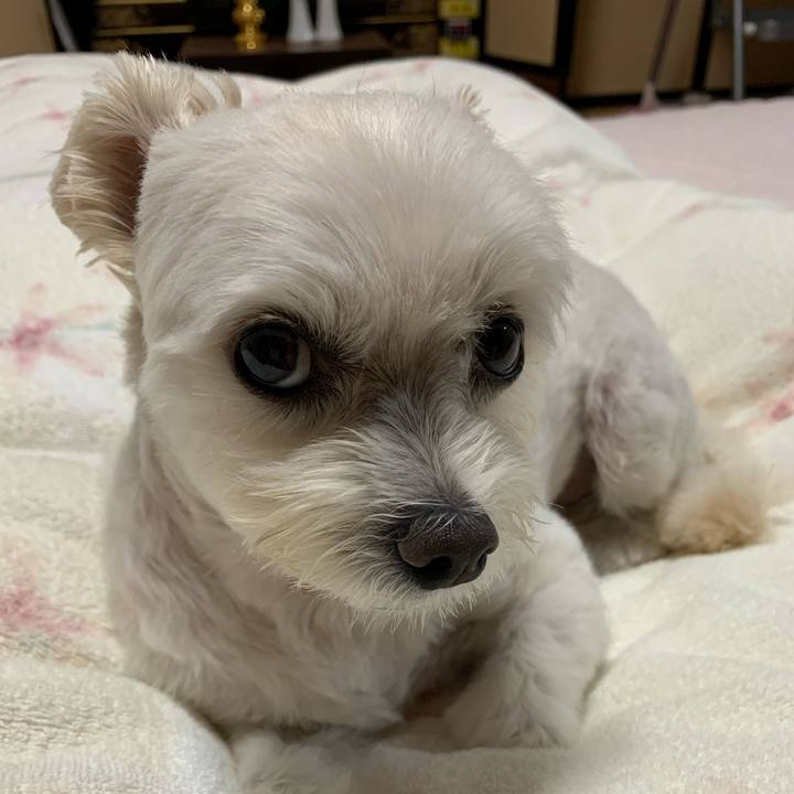 87318b47 d734 490e b910 f61e210a30c8 1601808353399