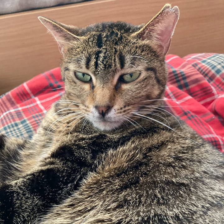 8731a016 06c8 465e 87bf 3127b2ee26ae 1608445967684