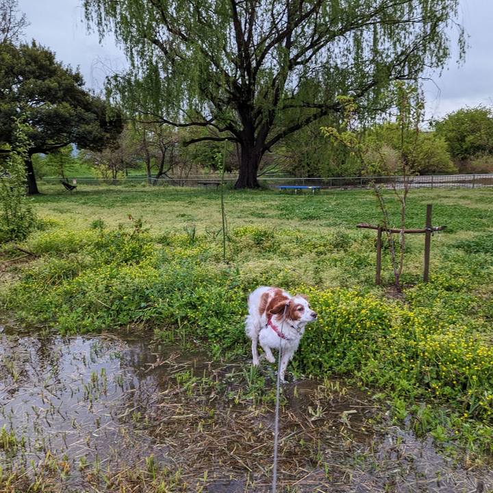 8731cff6 cc8c 4784 b10b ac902f72c3e2 1681567531341