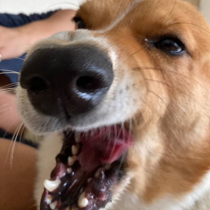 8731f8a1 6369 4a45 83c1 cdaf8c09c86b 1687577062350