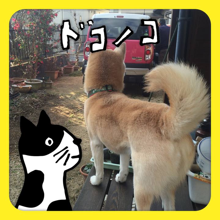 87320e22 cc1b 499e bca6 d246dbc47aef 1622947530779