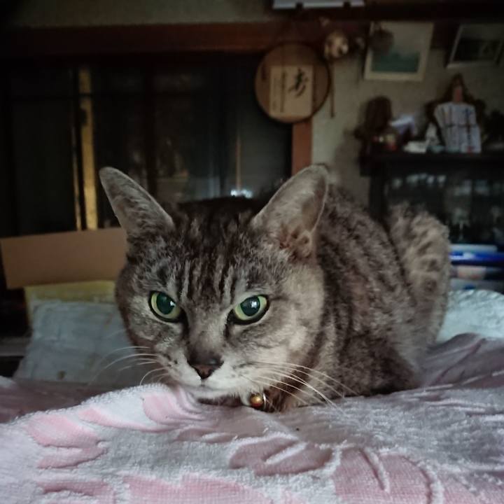 87323386 7c9c 42d3 a26c e70fbec727af 1592077063076