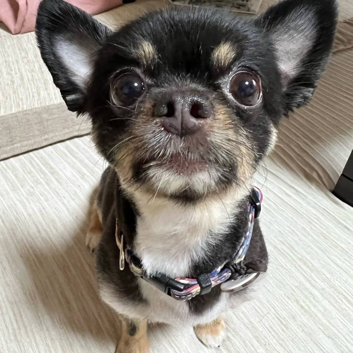 87323bdc ac2e 475b bba7 950ef746c3bc 1658639670529