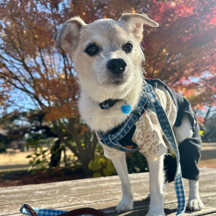 873253f9 1874 46c1 8a2e e59cf40e0f68 1764498712916