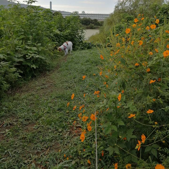 873256bb 6a45 49ac 8fdf acb1020fd782 1601250993997