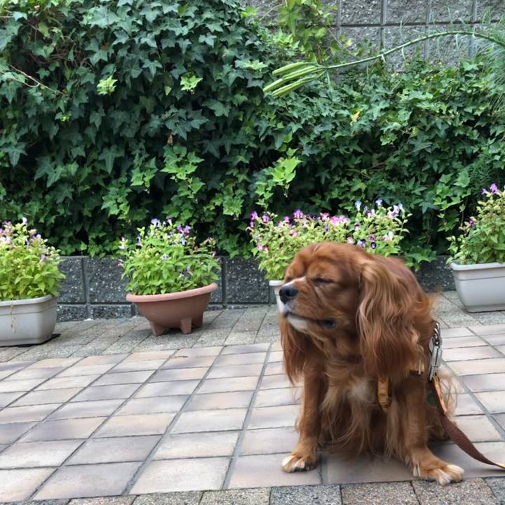 8732a256 ecfd 4fe3 b882 f0266a5ff078 1601936794467