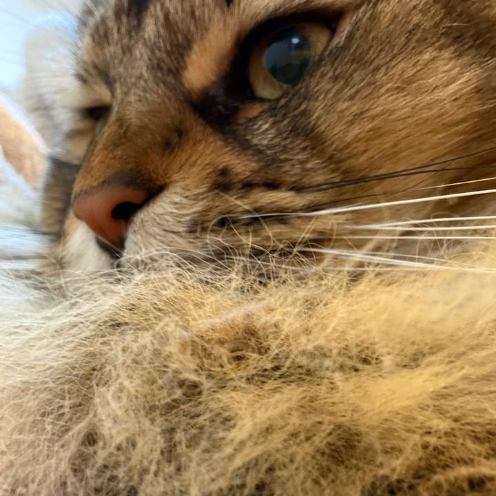 8732b4be e148 4caa 92b2 fd2350863cbe 1770416957918