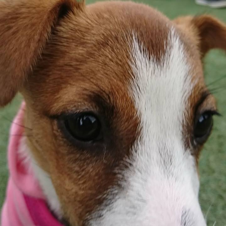 8732f0c3 03b2 401c 9357 cf54328b976f 1556685081799