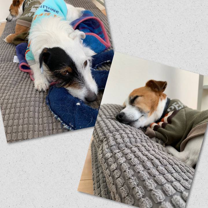 87330e52 94a4 4c1c 9c24 bba0941ca792 1555399514023