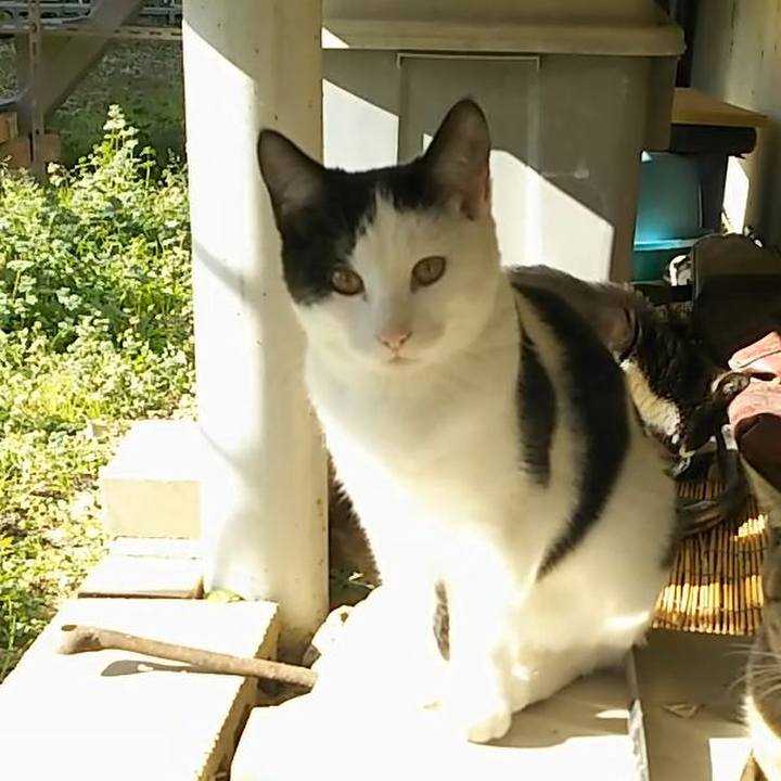 87331fe6 1f0e 48f0 8e93 76008a276631 1546314870054