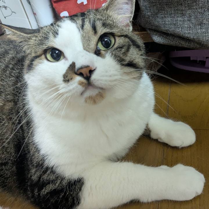 87332093 60c3 4c95 a1ff 4fe9ad6defaf 1752236519702