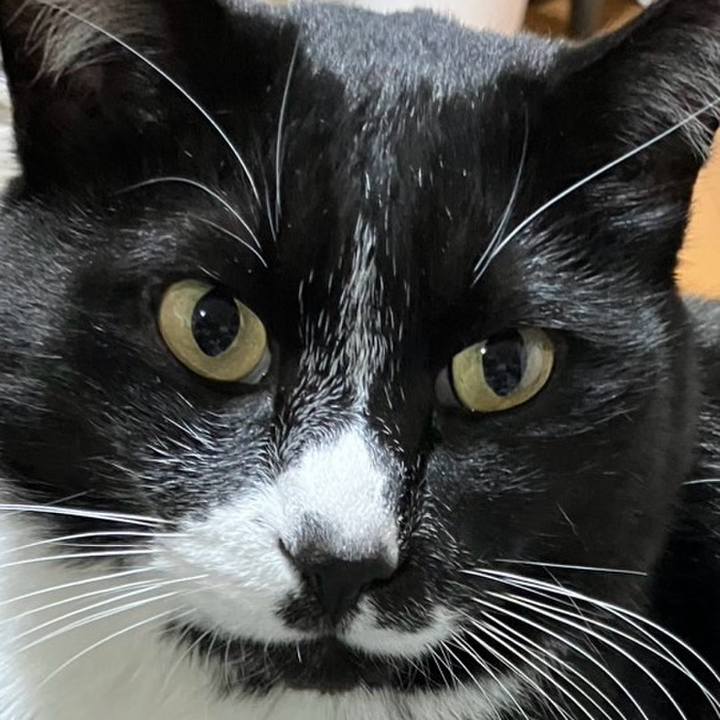 87336a24 db77 49bf bbc7 da326d5b7748 1746256333572