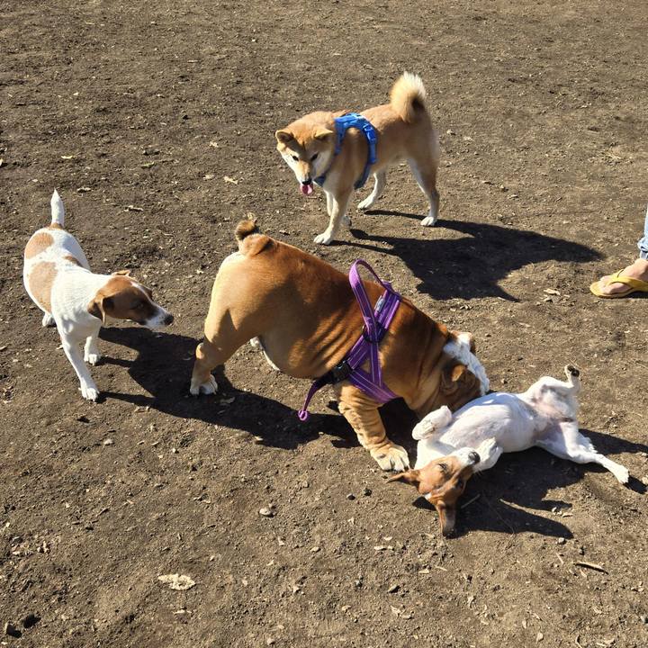 87336b1a 4966 43cb 8de8 dcf4b1e57643 1762175284342