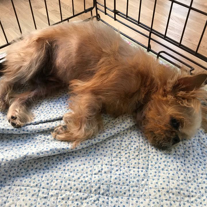 87337156 4dd1 4b2e b125 beba45c776b7 1564999507788