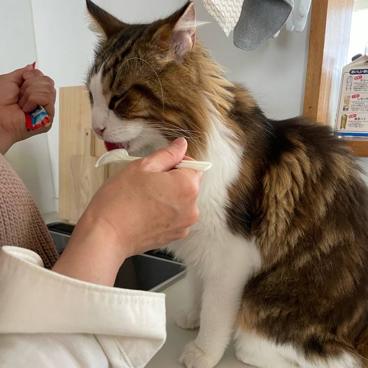 873381ce 9acc 45ab 947c 8d3ad2ee8fe8 1666514288397