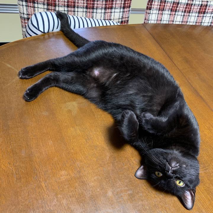 87339006 042b 4470 a0fb ee5fb039ba27 1562149179683