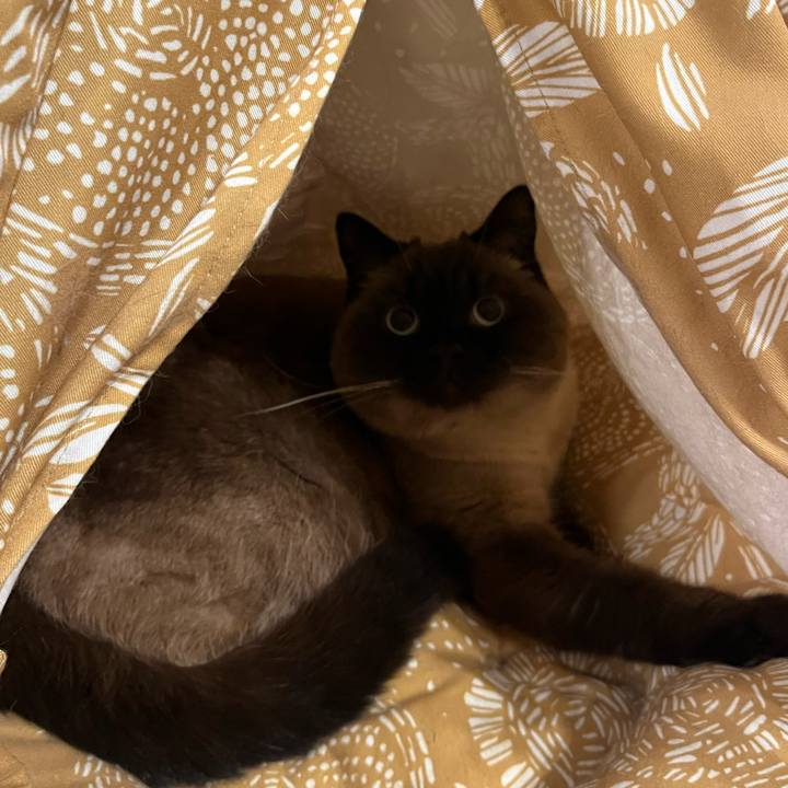 87339e84 c626 4231 b039 6a6ba207b126 1648208425342