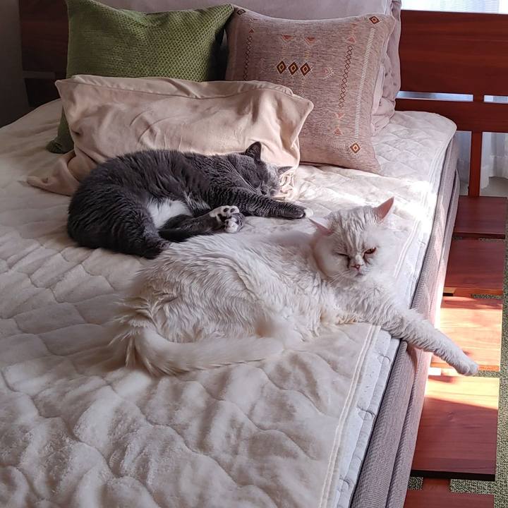 8733b929 e784 4018 a523 388c9a40c808 1681022456780