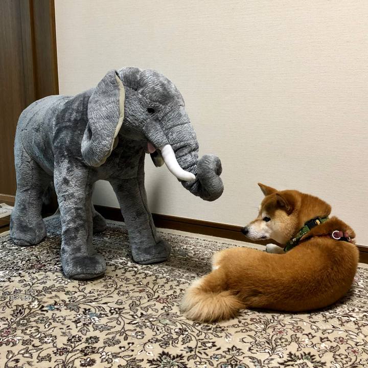 8733bc36 6dac 4568 9cae 3a40a64f490d 1533725394936