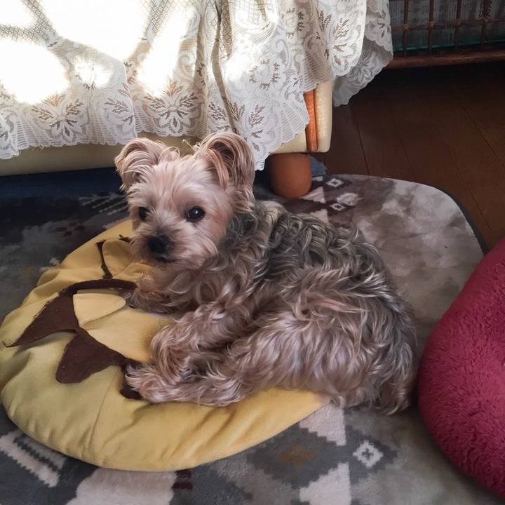 8733ca37 7866 40a7 a544 cac4aba002d2 1540807161025