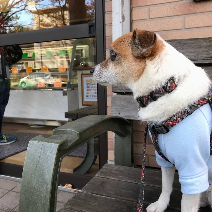 8733fb7f 3c65 4825 8ec1 b9c68d206f70 1575099489042