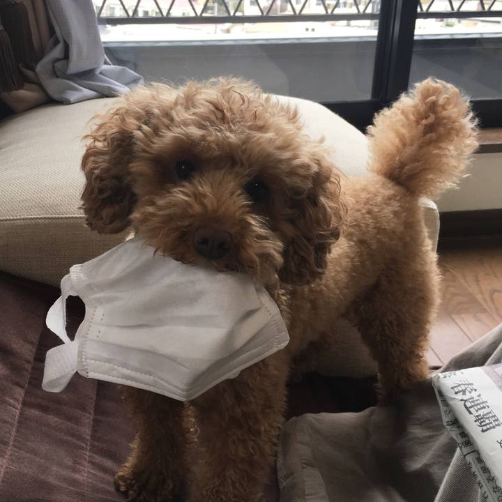 87340bb0 904b 4a82 8198 7c83f61c36cc 1522980899716