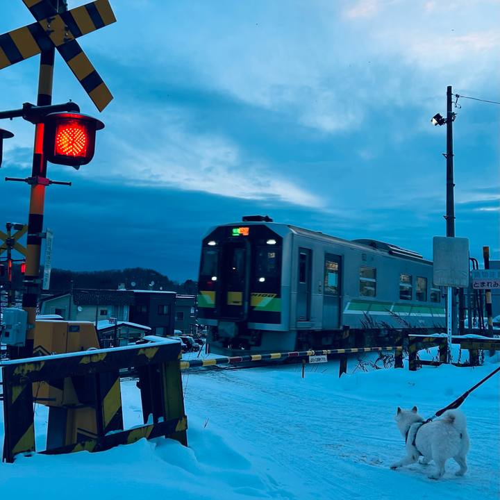 8734d263 22e0 464a be10 f76218db0bd8 1734819846779