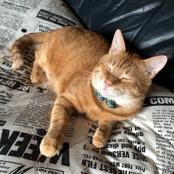 8734d2ca 68c4 4647 8df1 cfcbf9927f42 1557653145186