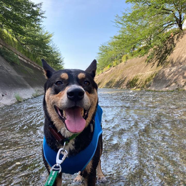 87352f19 3894 43ea 9df5 01710f7e3f00 1597367938463