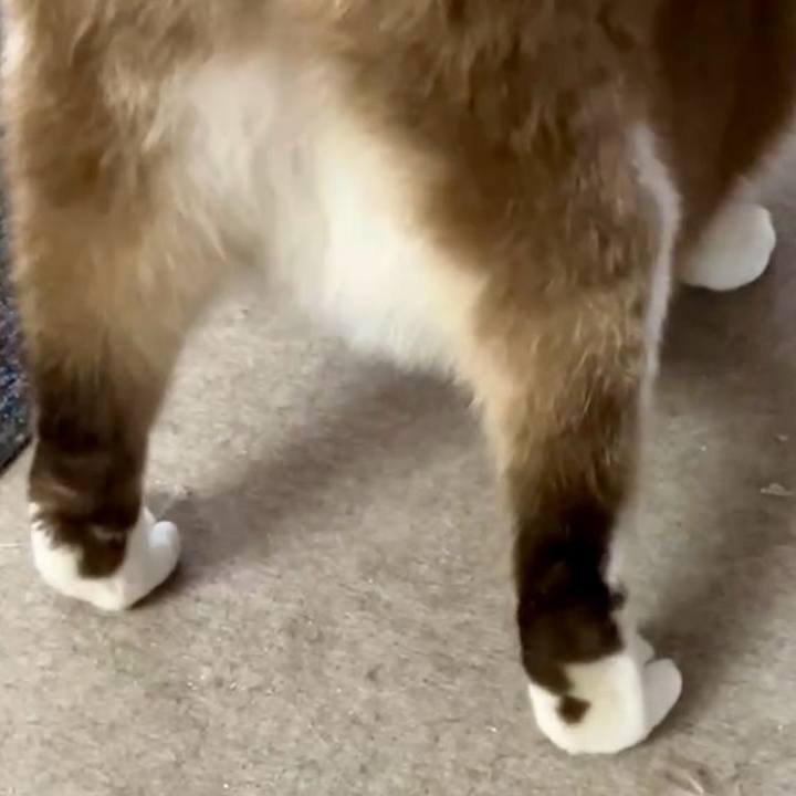 87354949 f311 4f4c 8e64 5dbe5a89a4a5 1728701726471