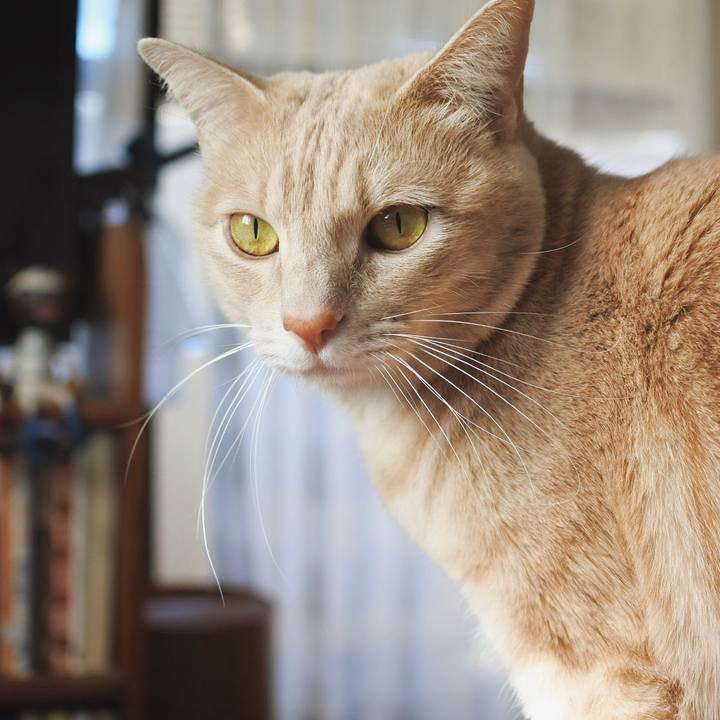 873550bf 2c04 4ca4 a28f a694a5e3c930 1642122791602