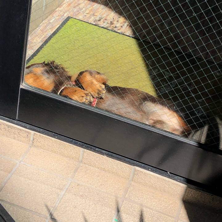 8735fc1b e0fc 4477 811e c7d6858a04be 1627885190110