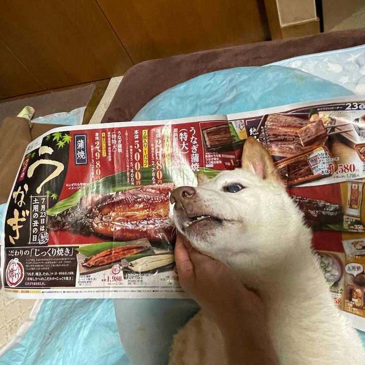 87364a28 8370 47cd a32e 09c63568e455 1658409334319