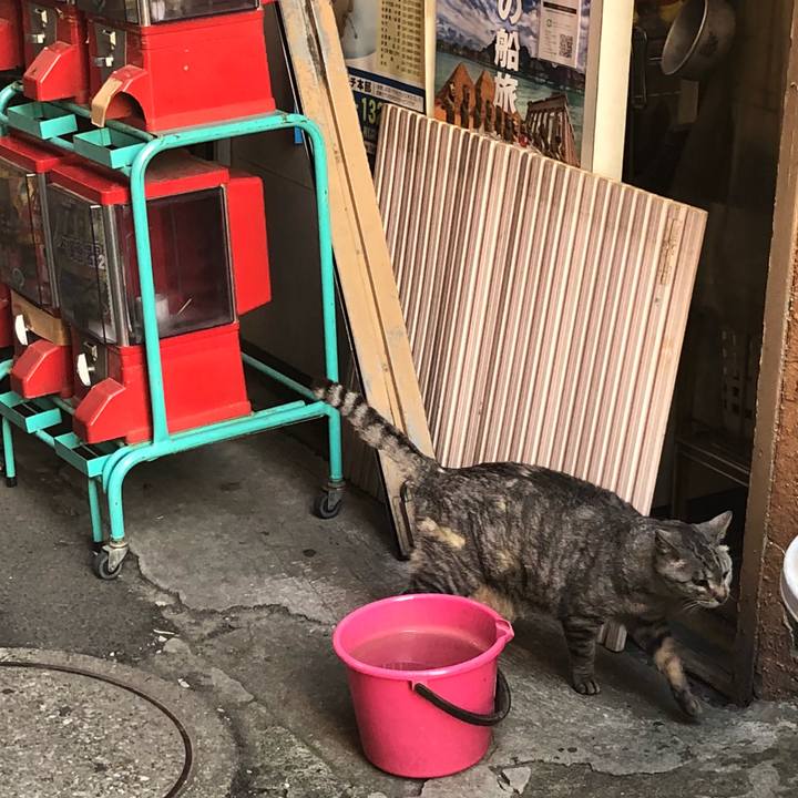 87365518 ac05 47d6 87b3 45dc23688165 1525168390619