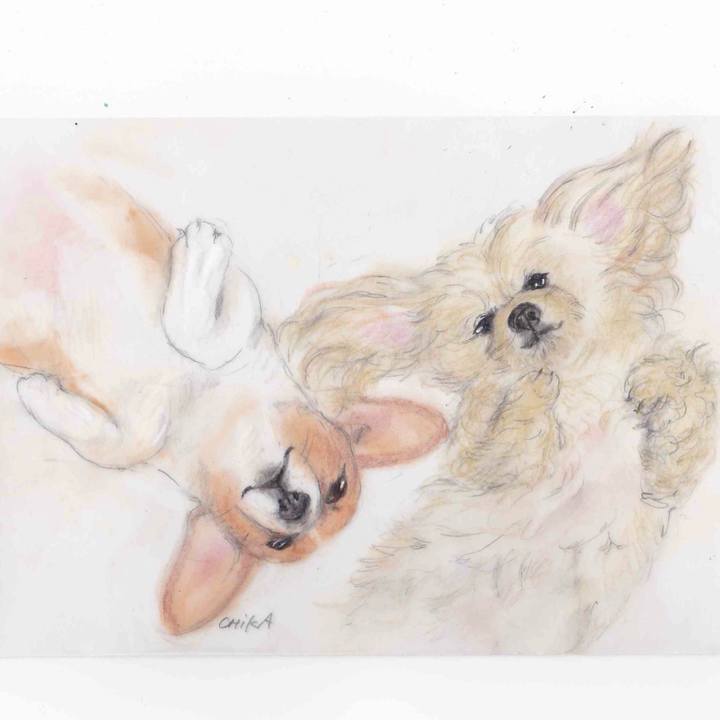 8736d051 23aa 45c0 9445 df2743a26329 1591861679105