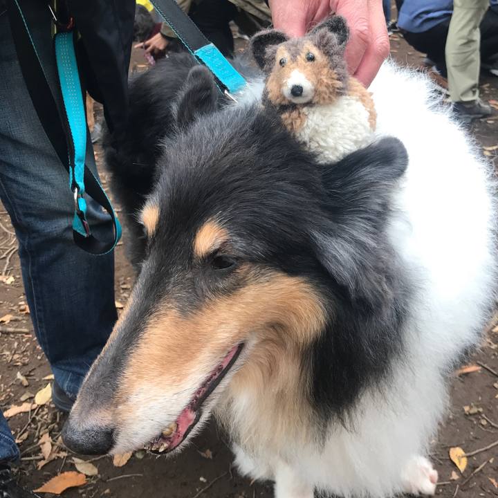 87370e48 21f7 4a8b 915c 2ac5ee411db3 1509169465332