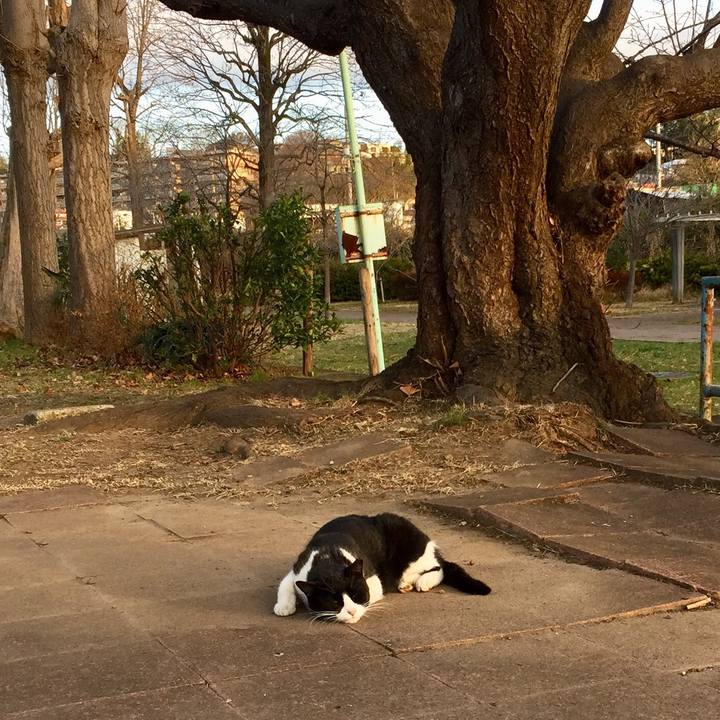 87373a24 7ba4 4aa0 92e7 500c2fe4f3a5 1577892517235