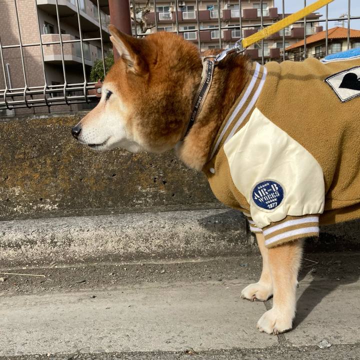 8737412f 9e8e 4a44 b3a7 dc47eb4ba470 1642251882341