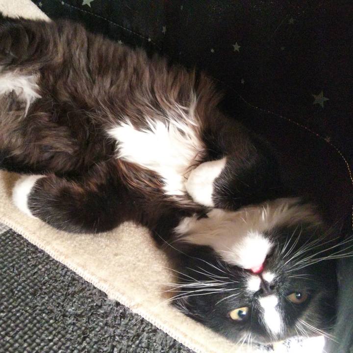 873741a9 8a28 4b6e a27a 3ce6bd21199a 1645770838681