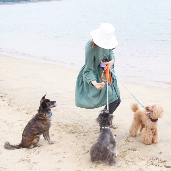 87377fef d5ae 4f81 93ad 018dce1cef80 1567004763167