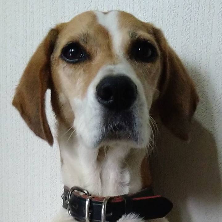 87379178 6cc9 4a16 afcf 3f574f0a9e84 1662632415664