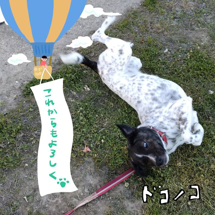 8737a061 a328 4a4f 8e2d aadd0f8b7c78 1685957677405