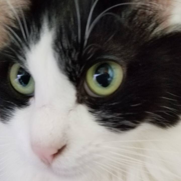 8737a401 4159 400a 8f61 0965e24fcb16 1554592324740