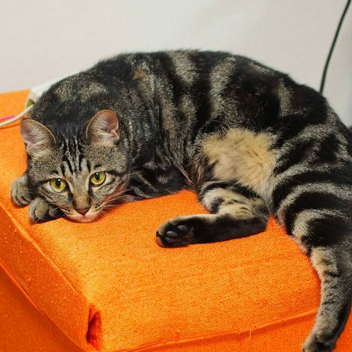 8737a992 5f2f 4f8a 9f27 f10fcdffce1a 1534078791022