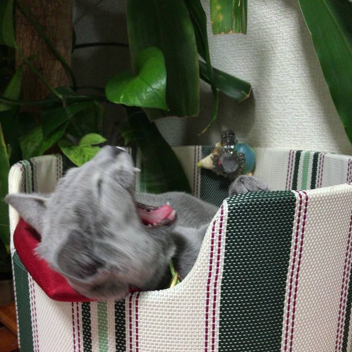 8737b110 c220 487c 9bca 1cf7c9379b8f 1511104710768