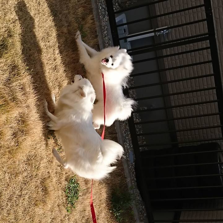 8737fe59 4857 4a71 a424 e4346ba9a56a 1554448074079