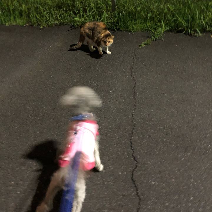 87382580 8f26 4ea7 92c8 d8ba94121de9 1617754843975